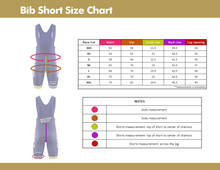 Load image into Gallery viewer, Go For Gold 2022- Retail Bib Short